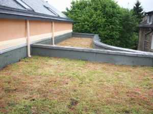 Pierr&259.jpg039;eau Le Jardinier Toiture 008 259