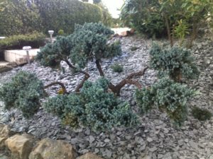 Pierr&265.jpg039;eau Le Jardinier 20102011235 265